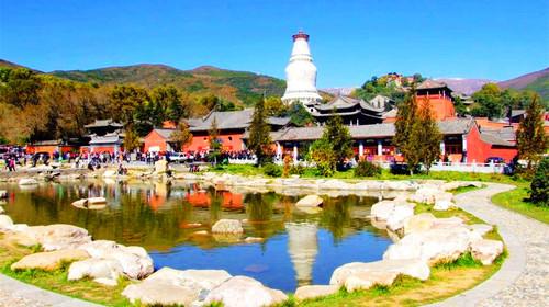 New Scenic Area Turnstile Solution for 2021! CXT Scenic Area Pedestrian Turnstiles Focus on—Wutai Mountain, Shanxi